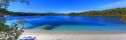 Lake McKenzie - Fraser Island - QLD (PB5D 00 51A1688)